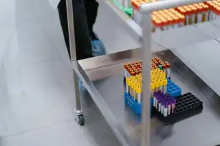 Labordiagnostik